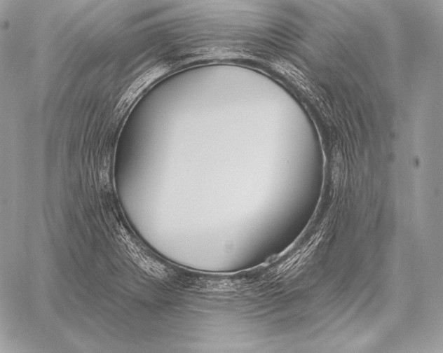 X0000059841273200511111735