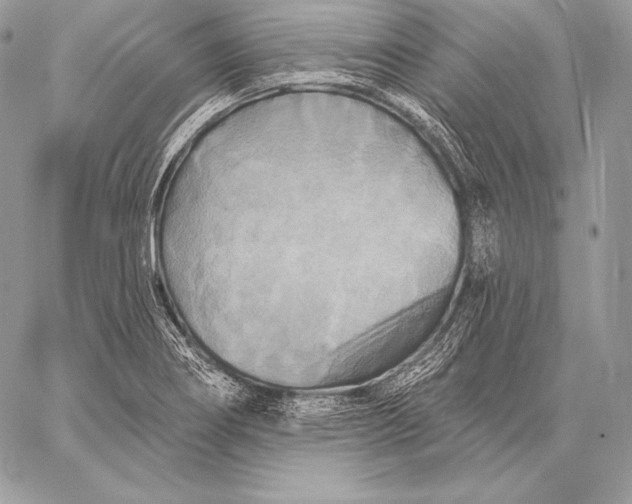 X0000059841274200511111735