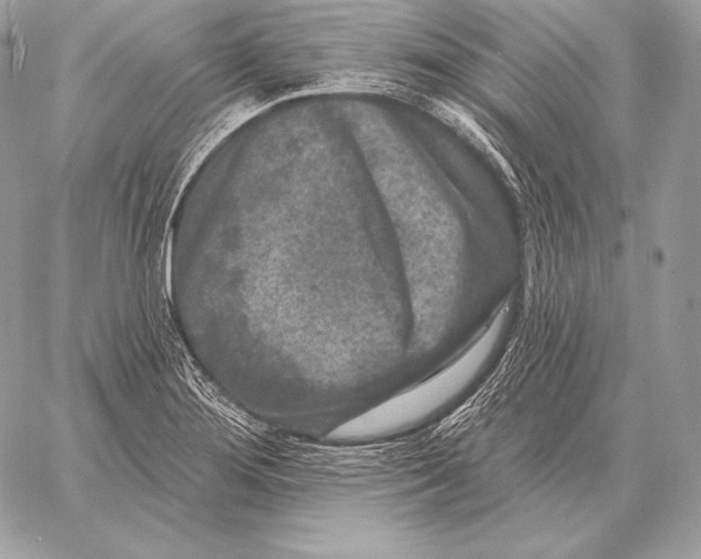 X0000059841276200511111735