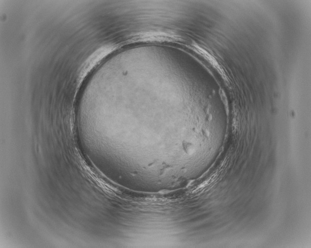 X0000059841277200511111735