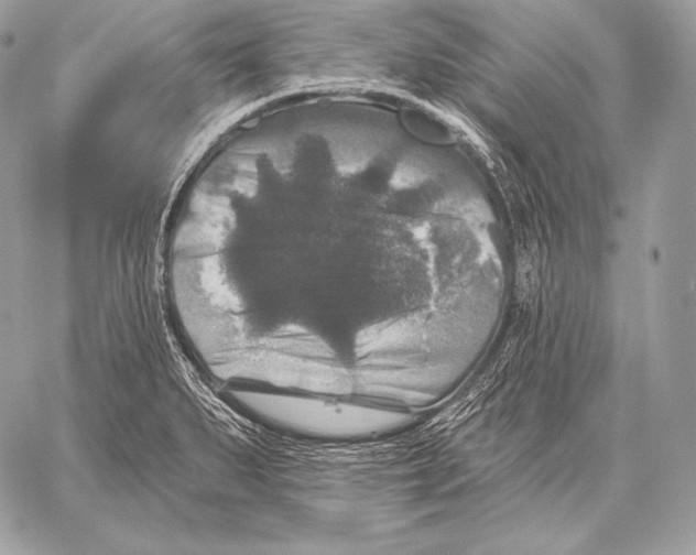 X0000059841279200511111735