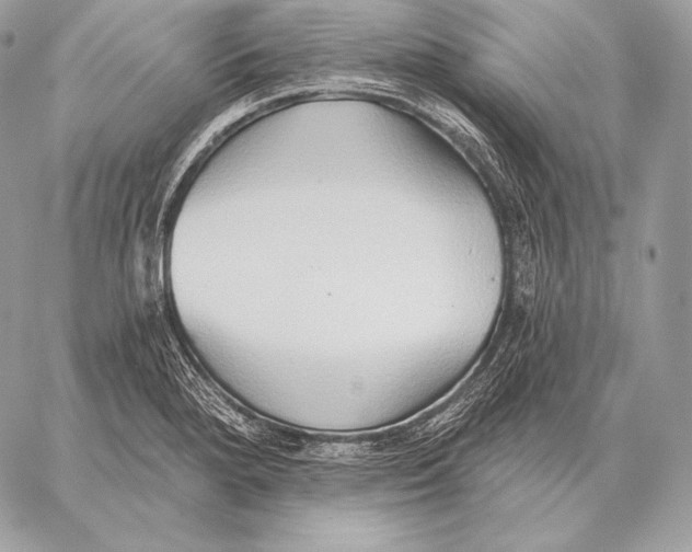 X0000059841280200511111735