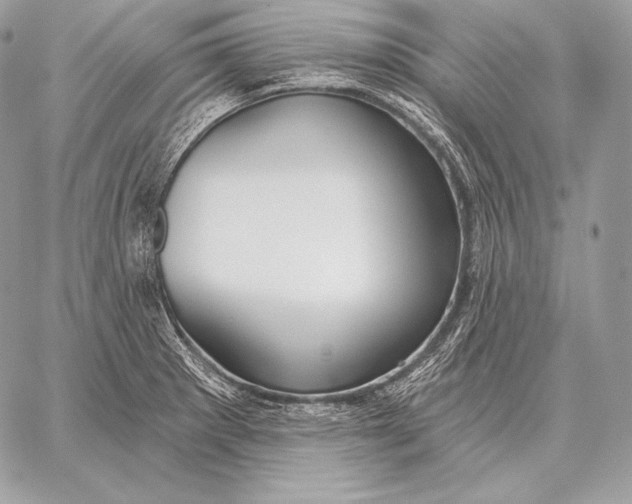 X0000059841281200511111735