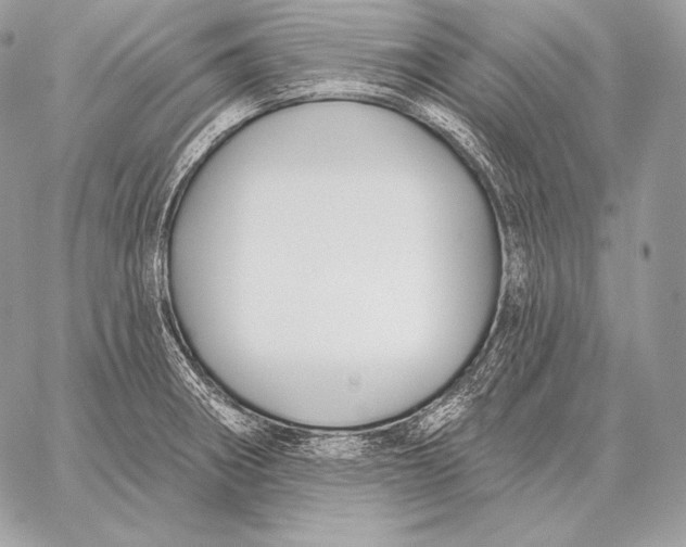 X0000059841282200511111735