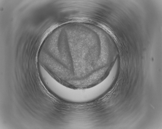 X0000059841283200511111735