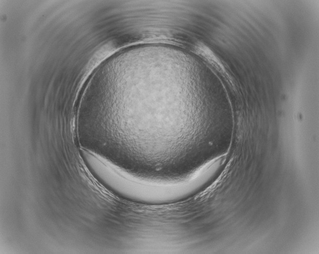 X0000059841284200511111735