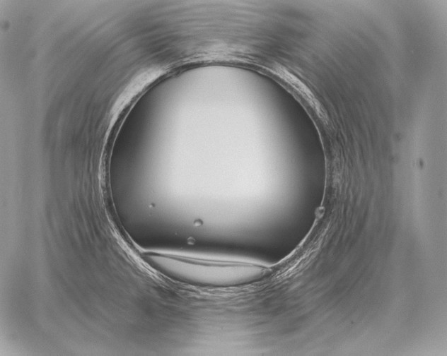 X0000059841285200511111735