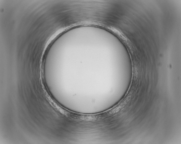 X0000059841286200511111735