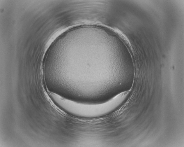 X0000059841287200511111735