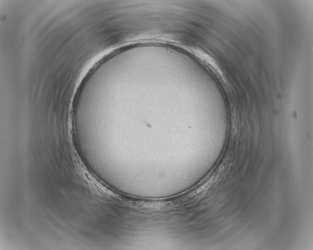 X0000059841288200511111735