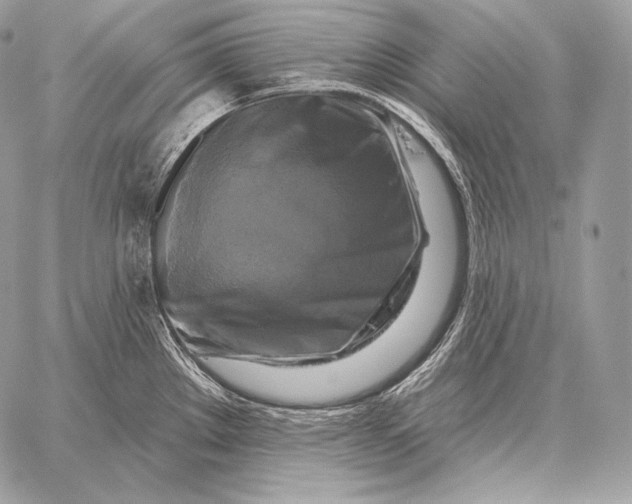 X0000059841289200511111735