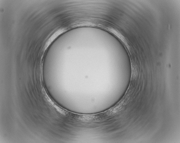 X0000059841290200511111735