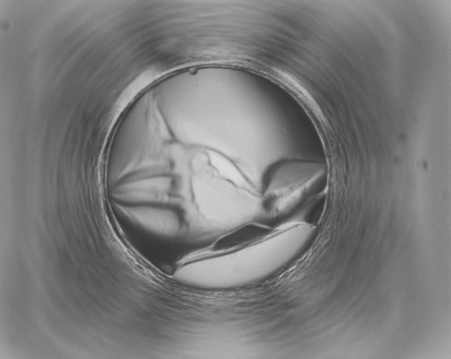 X0000059841291200511111735