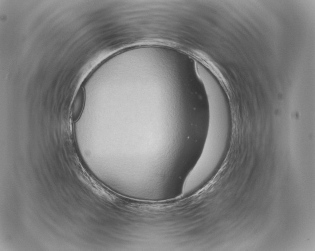 X0000059841292200511111735