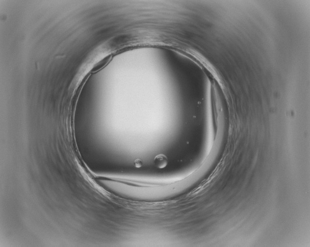 X0000059841293200511111735