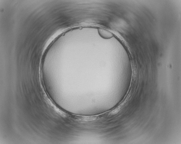 X0000059841294200511111735