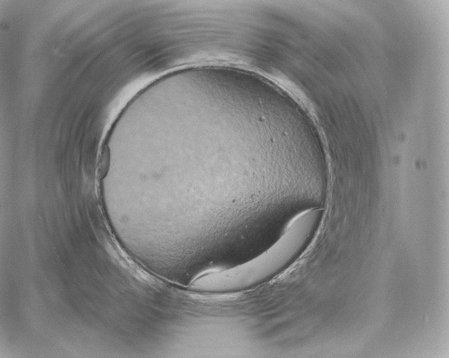 X0000059841296200511111735