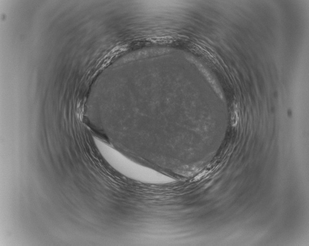 X0000059841298200511111734