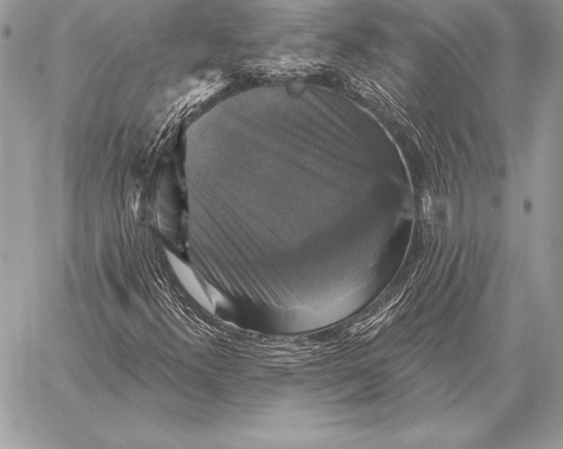 X0000059841300200511111734