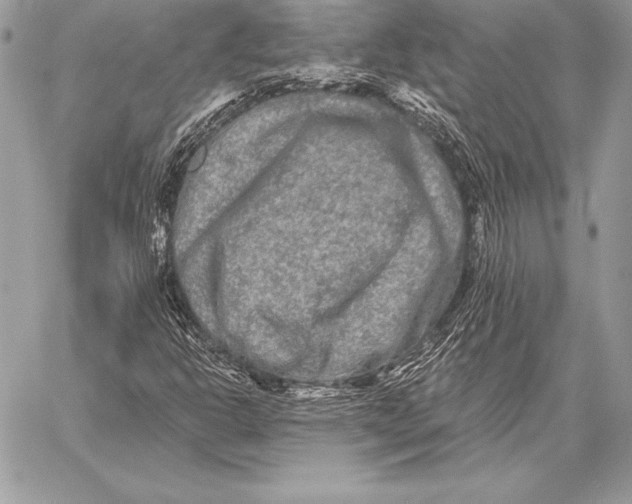 X0000059841302200511111734