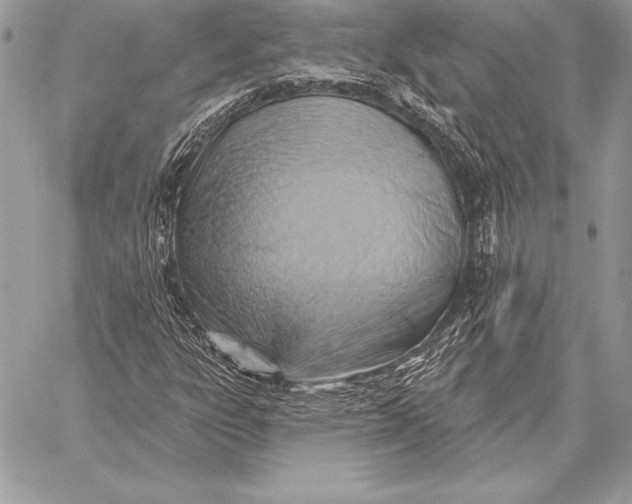 X0000059841303200511111734