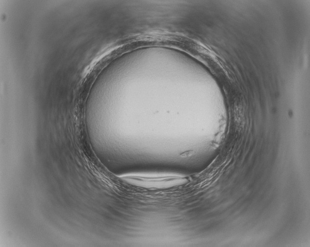 X0000059841304200511111734