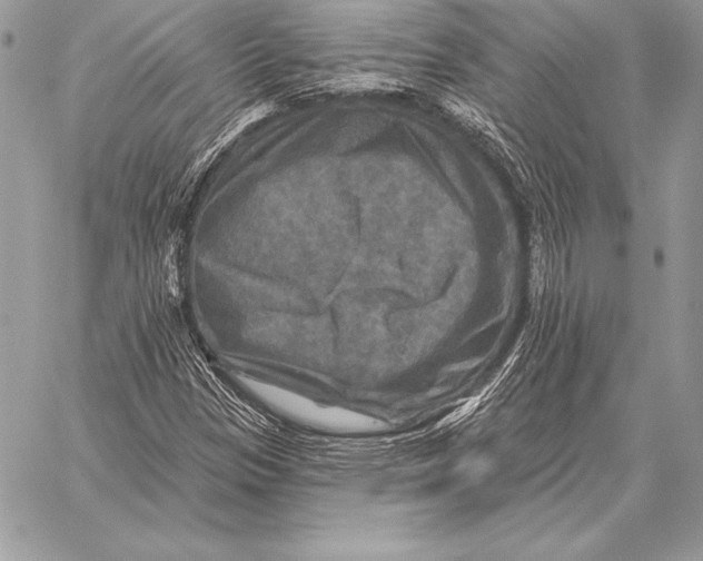 X0000059841305200511111734