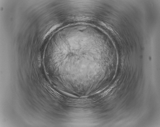 X0000059841306200511111734