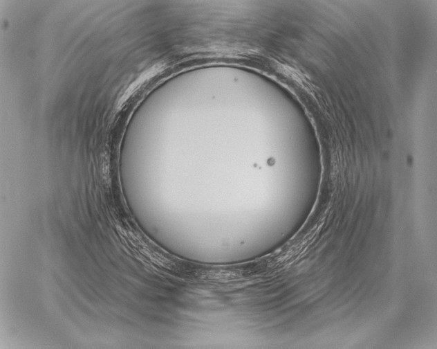 X0000059841307200511111734