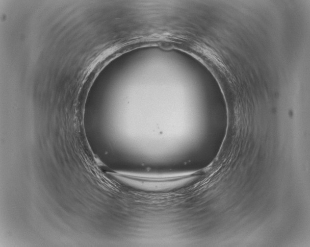 X0000059841308200511111734