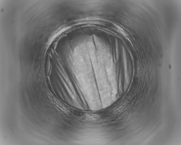 X0000059841312200511111734