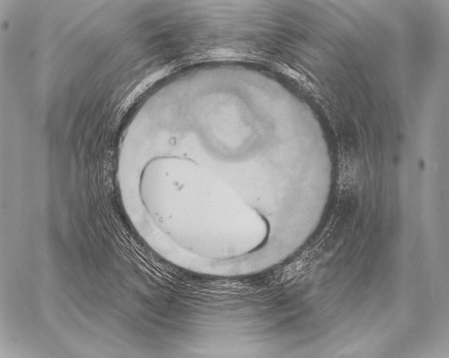 X0000059841314200511111734