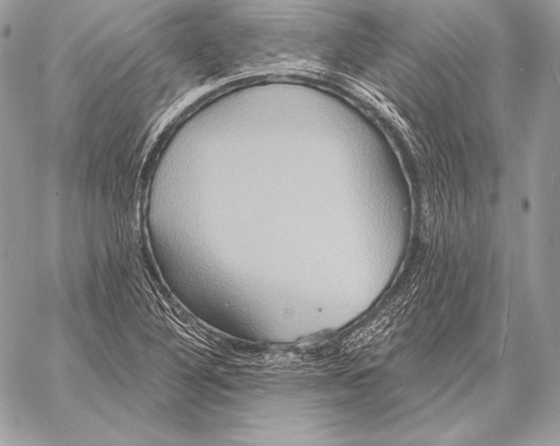 X0000059841316200511111734