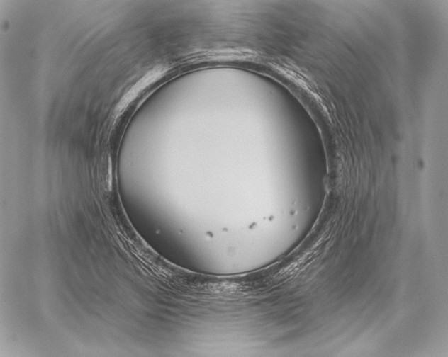 X0000059841317200511111734