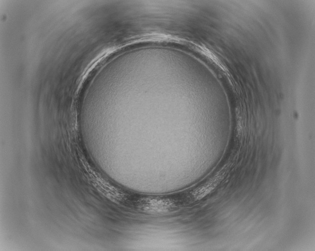 X0000059841318200511111734