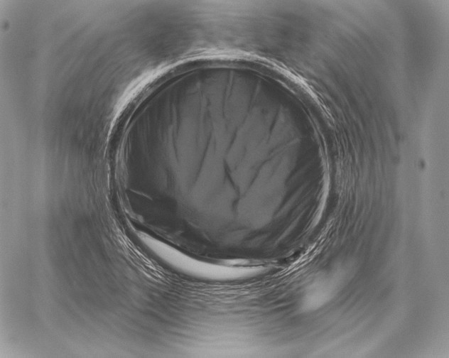 X0000059841319200511111734