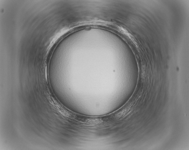 X0000059841320200511111734