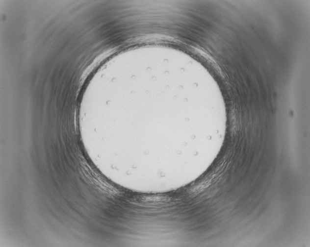 X0000059841322200511111734