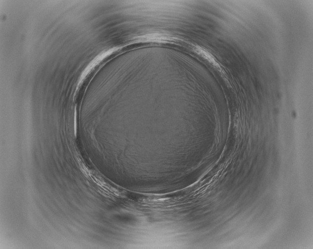 X0000059841323200511111734