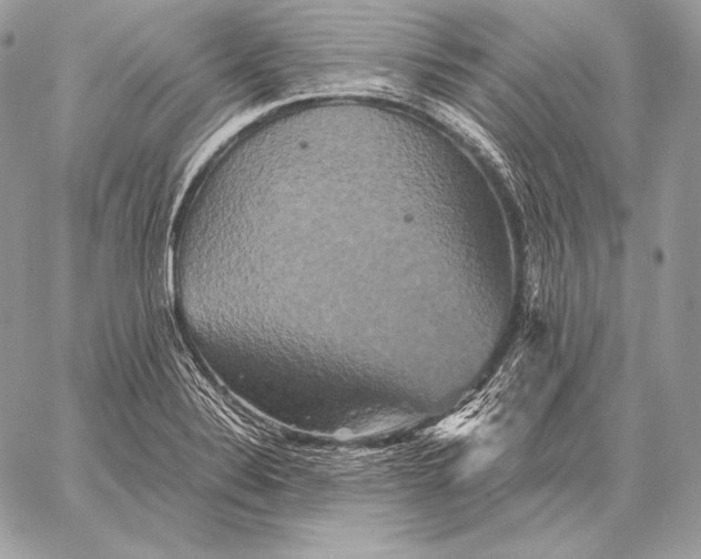 X0000059841324200511111734