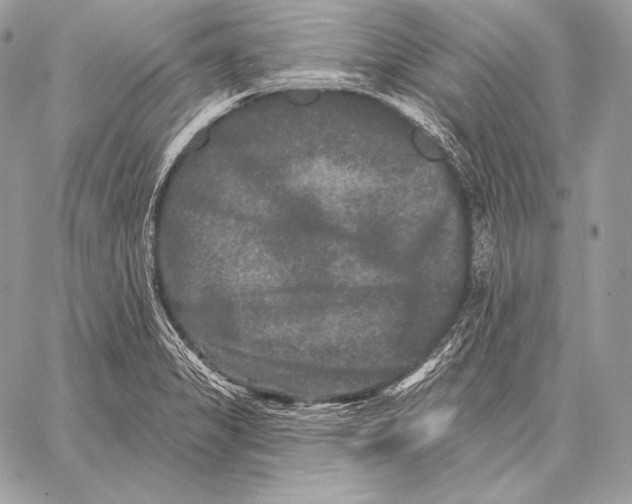 X0000059841325200511111734