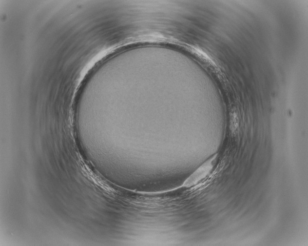 X0000059841326200511111734