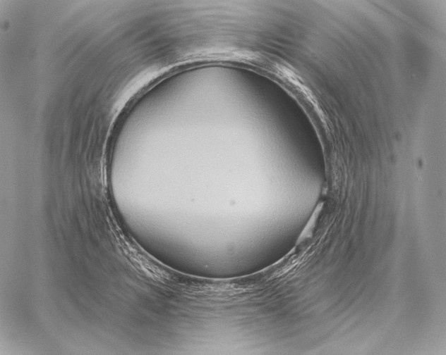 X0000059841328200511111735