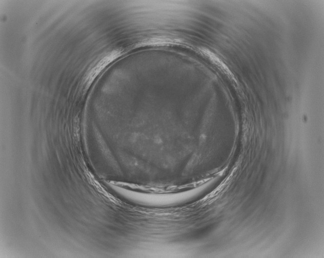 X0000059841329200511111735