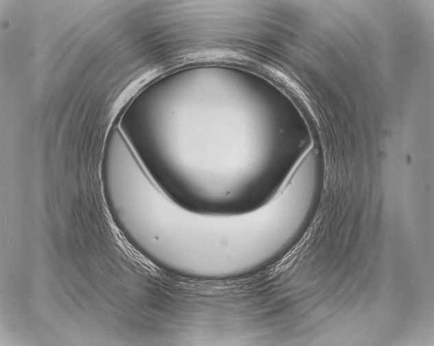 X0000059841330200511111735