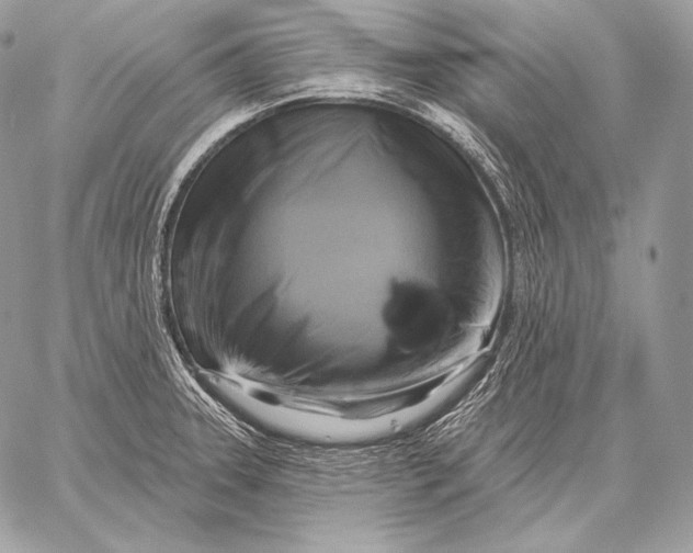 X0000059841331200511111735