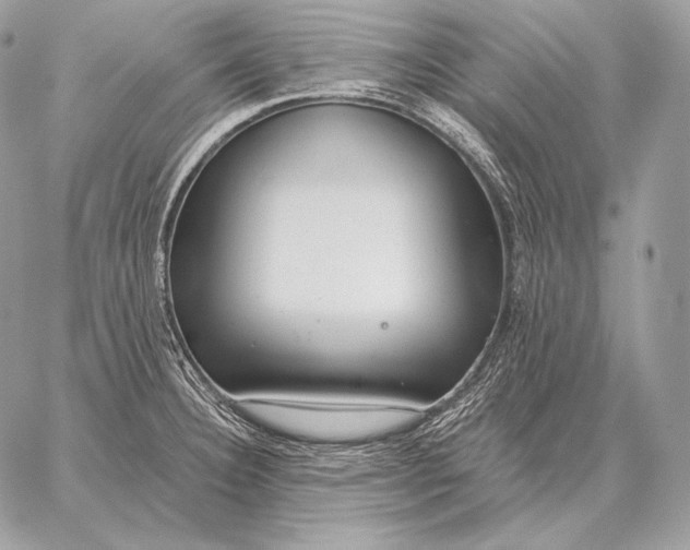 X0000059841332200511111735