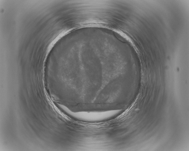 X0000059841333200511111735