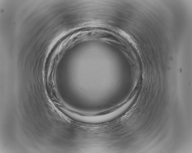 X0000059841334200511111735