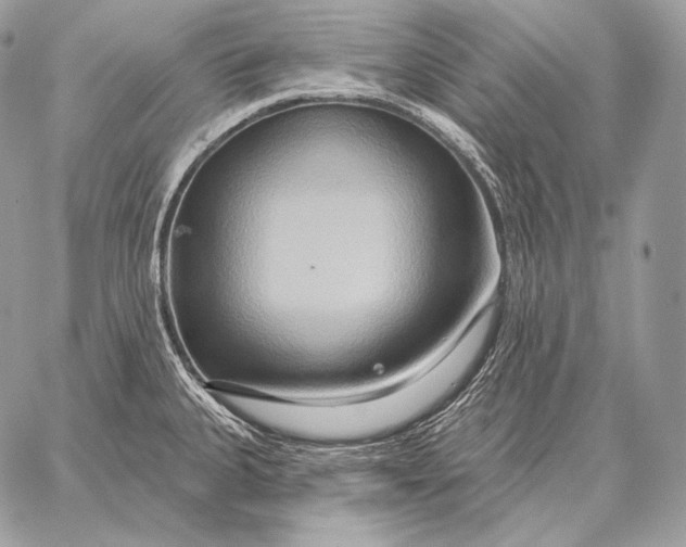 X0000059841335200511111735